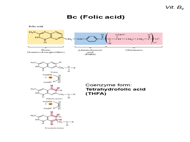 Vit. Bc Вc (Folic acid) Coenzyme form: Tetrahydrofolic acid (THFA)